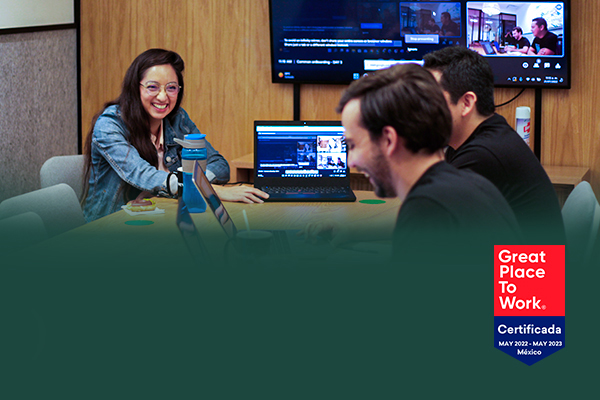 How can I identify the ideal company to develop my skills as a Software Engineer?