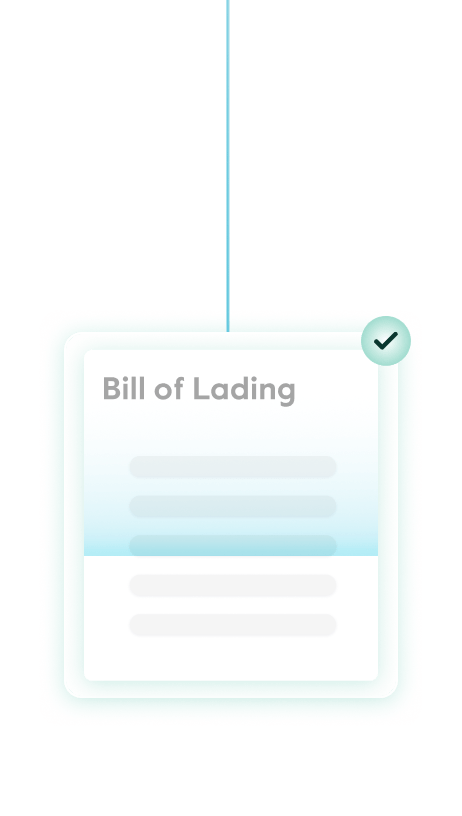 Ilustration of how nuvocargo handles customs